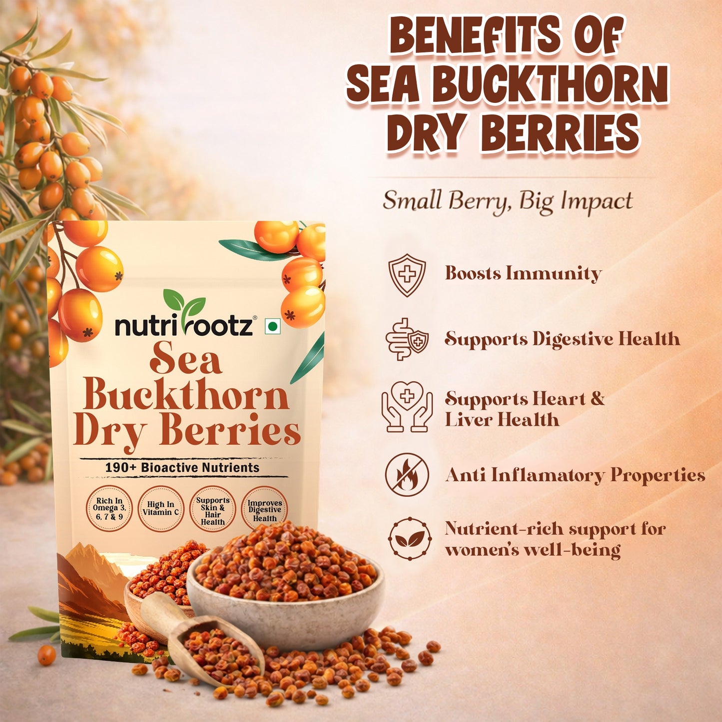Nutrirootz Sea Buckthorn Berries (Dried Seabuckthorn) - 100gms
