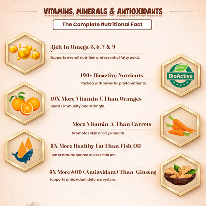 Nutrirootz Sea Buckthorn Berries (Dried Seabuckthorn) - 100gms