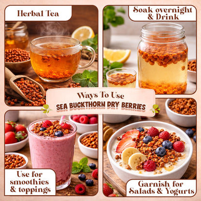 Nutrirootz Sea Buckthorn Berries (Dried Seabuckthorn) - 100gms