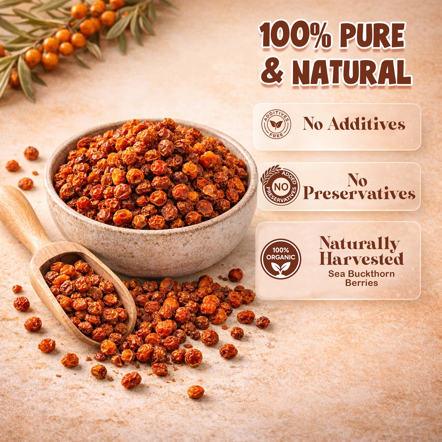 Nutrirootz Sea Buckthorn Berries (Dried Seabuckthorn) - 100gms